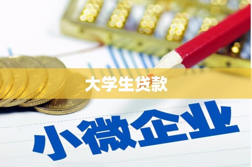 石河子大学生贷款