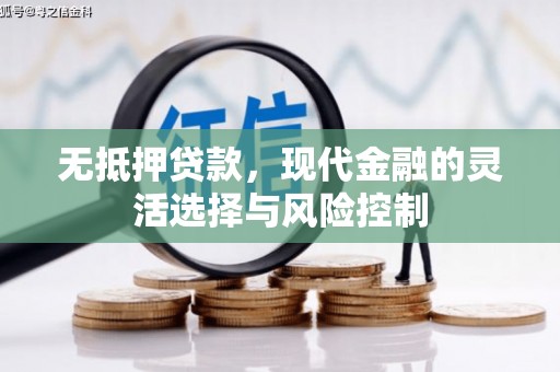 石河子无抵押贷款，现代金融的灵活选择与风险控制