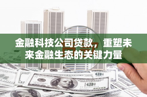 石河子金融科技公司贷款，重塑未来金融生态的关键力量