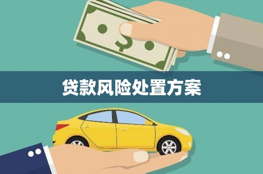 石河子贷款风险处置方案