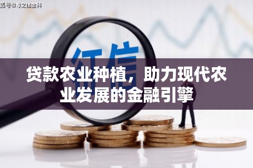 石河子贷款农业种植，助力现代农业发展的金融引擎