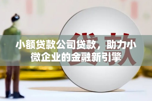 石河子小额贷款公司贷款，助力小微企业的金融新引擎