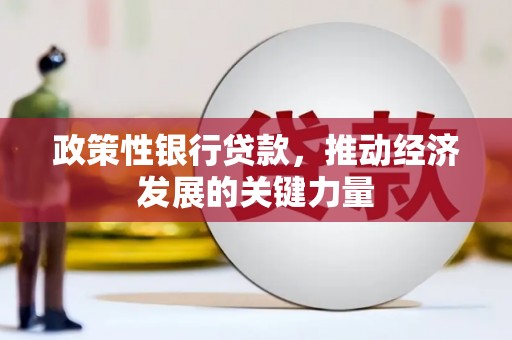 石河子政策性银行贷款，推动经济发展的关键力量