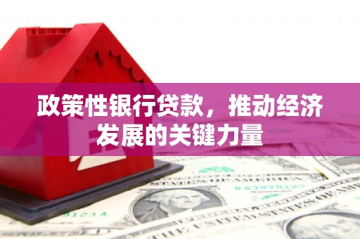 石河子政策性银行贷款，推动经济发展的关键力量