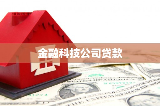 石河子金融科技公司贷款