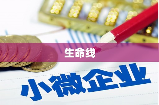 石河子生命线