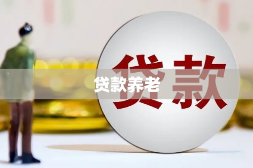 石河子贷款养老
