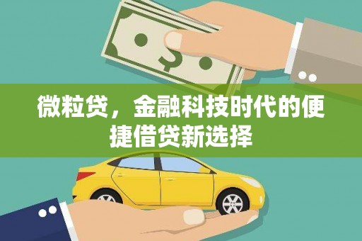 石河子微粒贷，金融科技时代的便捷借贷新选择