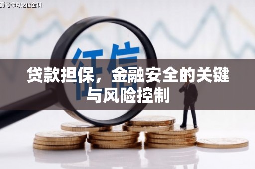 石河子贷款担保，金融安全的关键与风险控制