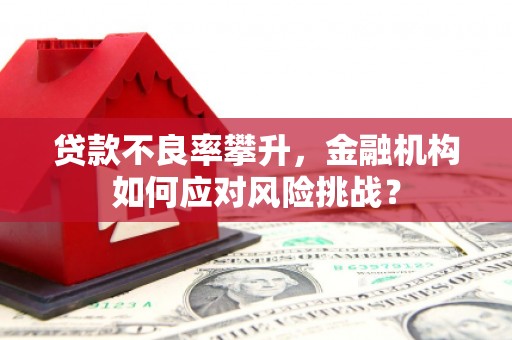 石河子贷款不良率攀升，金融机构如何应对风险挑战？